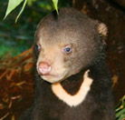 Perth Zoo - Hotel Accommodation