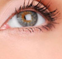 Cinnamon Stix Hair  Day Spa - Hotel Accommodation