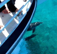 Pelican Charters - Hotel Accommodation