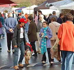 Arts Nunawading Inc - Hotel Accommodation 0