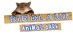Birdland Animal Park - Hotel Accommodation 0
