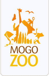Mogo Zoo - Hotel Accommodation 0