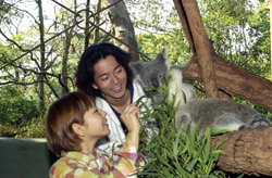 Taronga Zoo - Hotel Accommodation 2