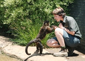 National Zoo & Aquarium - Hotel Accommodation 1