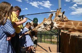 National Zoo & Aquarium - Hotel Accommodation 2