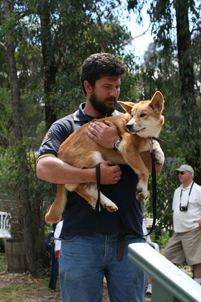 Jirrahlinga Koala & Wildlife Sanctuary - Hotel Accommodation 2