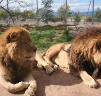 Mansfield Zoo - Hotel Accommodation