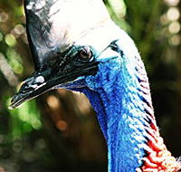 Alma Park Zoo - Hotel Accommodation