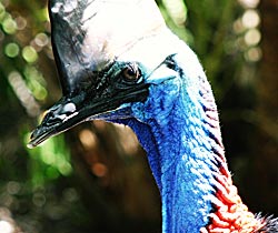 Alma Park Zoo - Hotel Accommodation 0