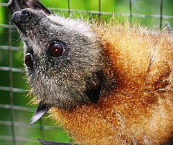 Alma Park Zoo - Hotel Accommodation 2