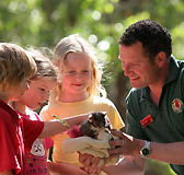 Cleland Wildlife Park - Hotel Accommodation