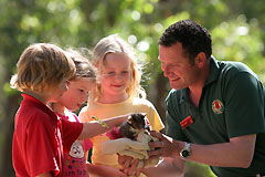 Cleland Wildlife Park - Hotel Accommodation 0