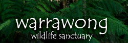 Inglewood SA Hotel Accommodation