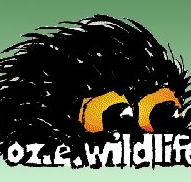 OZe Wildlife - Hotel Accommodation
