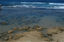 Braddon ACT Hotel Accommodation