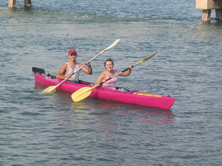 Swan Boat Hire - Hotel Accommodation 2