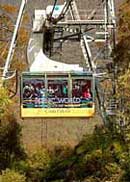 Scenic World Blue Mountains - Hotel Accommodation 1
