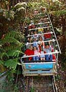 Scenic World Blue Mountains - Hotel Accommodation 2