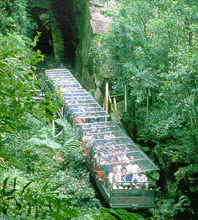 Scenic World Blue Mountains - Hotel Accommodation 3