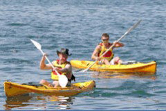 Manly Kayaks - Hotel Accommodation 0