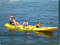 Manly Kayaks - Hotel Accommodation 3
