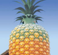 The Big Pineapple - Hotel Accommodation