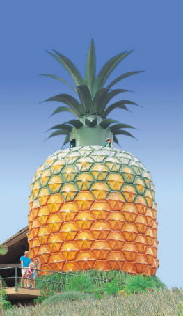 The Big Pineapple - Hotel Accommodation 0