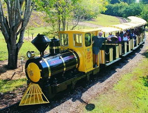 The Big Pineapple - Hotel Accommodation 1