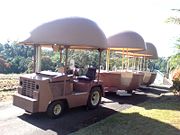 The Big Pineapple - Hotel Accommodation 2