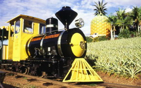 The Big Pineapple - Hotel Accommodation 3