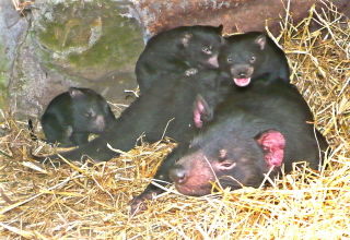 East Coast Natureworld - Hotel Accommodation 0