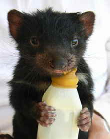 East Coast Natureworld - Hotel Accommodation 2