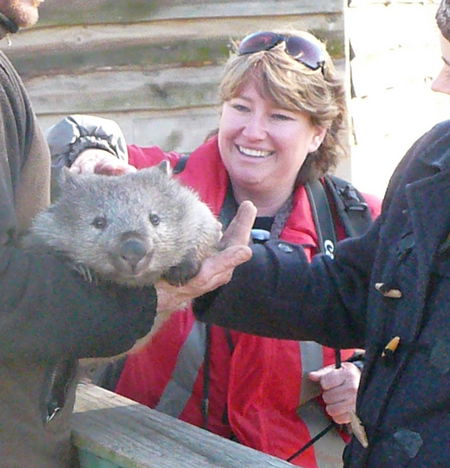 East Coast Natureworld - Hotel Accommodation 3