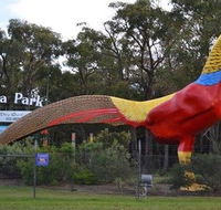 Gumbuya Park - Hotel Accommodation