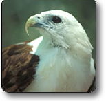 Kakadu National Park - Hotel Accommodation
