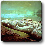 Kakadu National Park - Hotel Accommodation 1