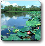 Kakadu National Park - Hotel Accommodation 3