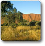 Yulara NT Hotel Accommodation