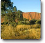 Uluru - Kata Tjuta National Park - Hotel Accommodation