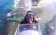 Tiger Moth World Adventure Park - thumb 0