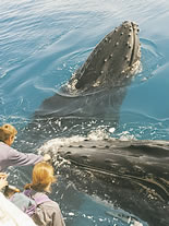 Storeyline Tours - Hotel Accommodation 1