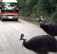 Kookaburra Tours - Hotel Accommodation
