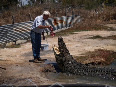Koorana Saltwater Crocodile Farm - Hotel Accommodation 1