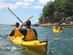 Sydney Harbour Kayaks - Hotel Accommodation 1