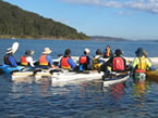 Sydney Harbour Kayaks - Hotel Accommodation 2