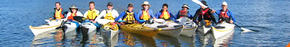 Sydney Harbour Kayaks - Hotel Accommodation 3