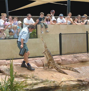 Symbio Wildlife Gardens - Hotel Accommodation 3