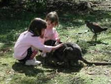 Urimbirra Wildlife Park - Hotel Accommodation 1