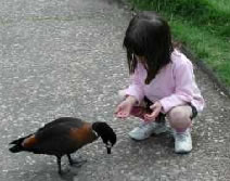 Urimbirra Wildlife Park - Hotel Accommodation 3