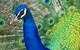 Wagga Wagga Zoo - thumb 1